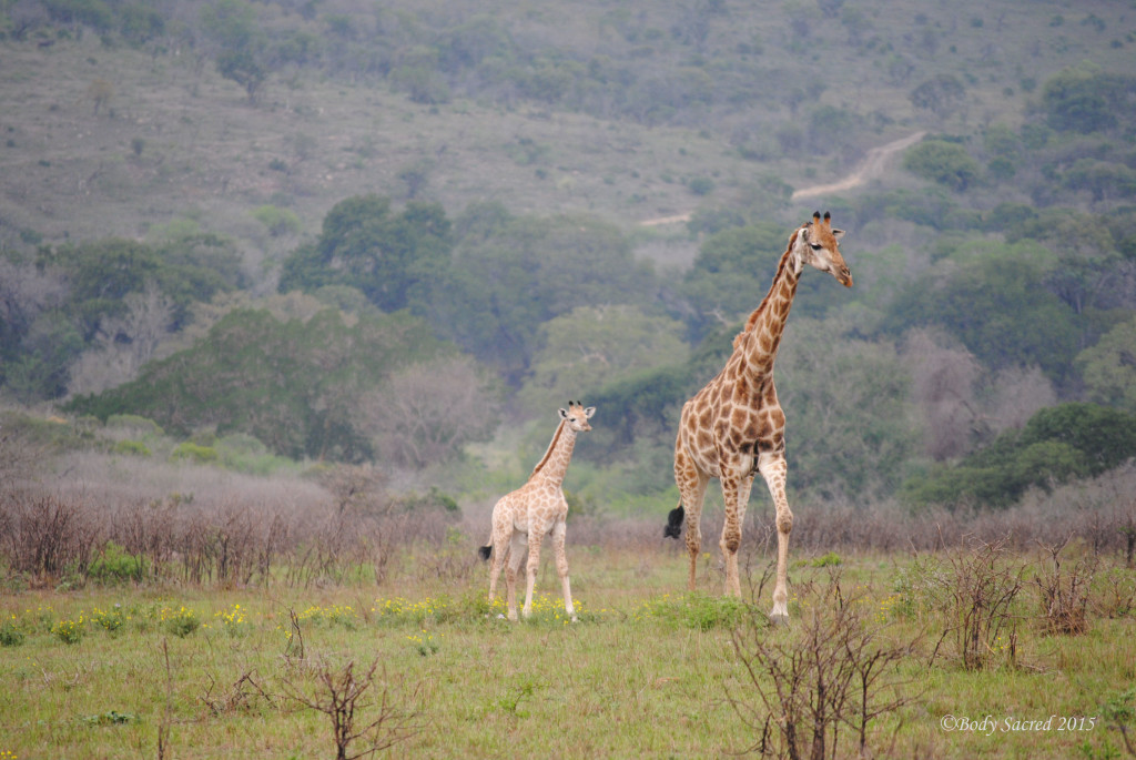 Thula Thula Game Reserve, South Africa